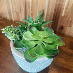Artificial House Plant, Variety Of Succulents 