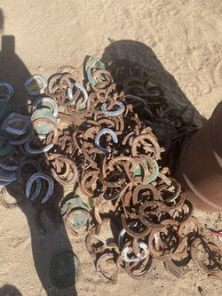 Horseshoes