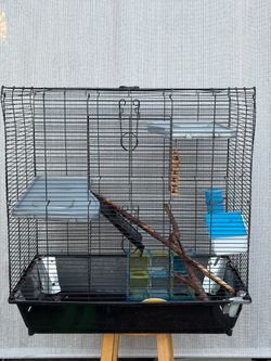 Cage
