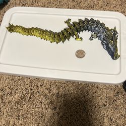 dragon that moves