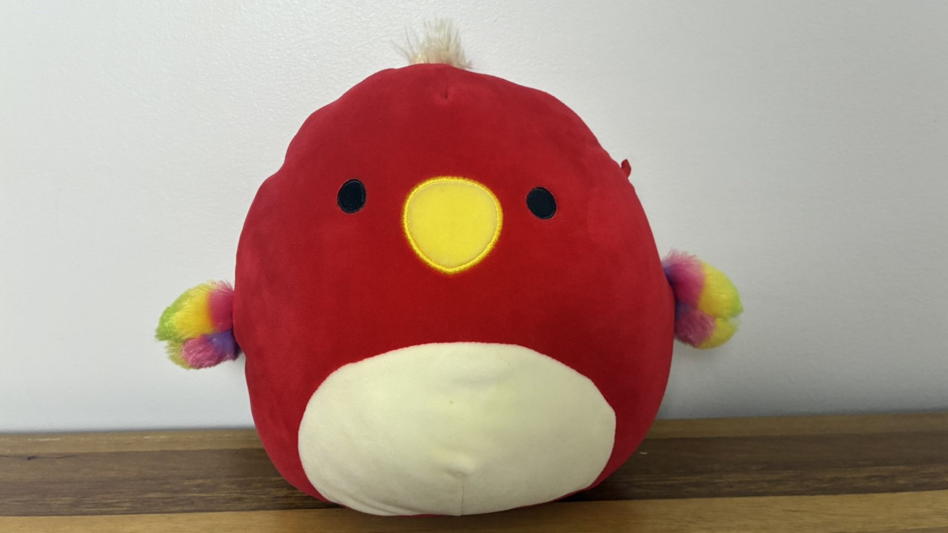 Paco The Parrot Squishmallows!