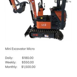 Mini Excavator Micro R.E.N.T