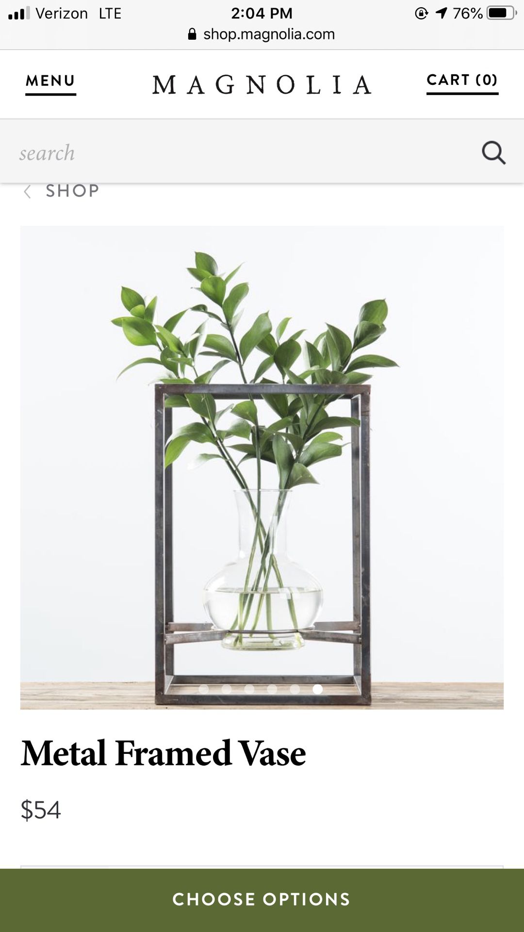 Magnolia metal frame vase