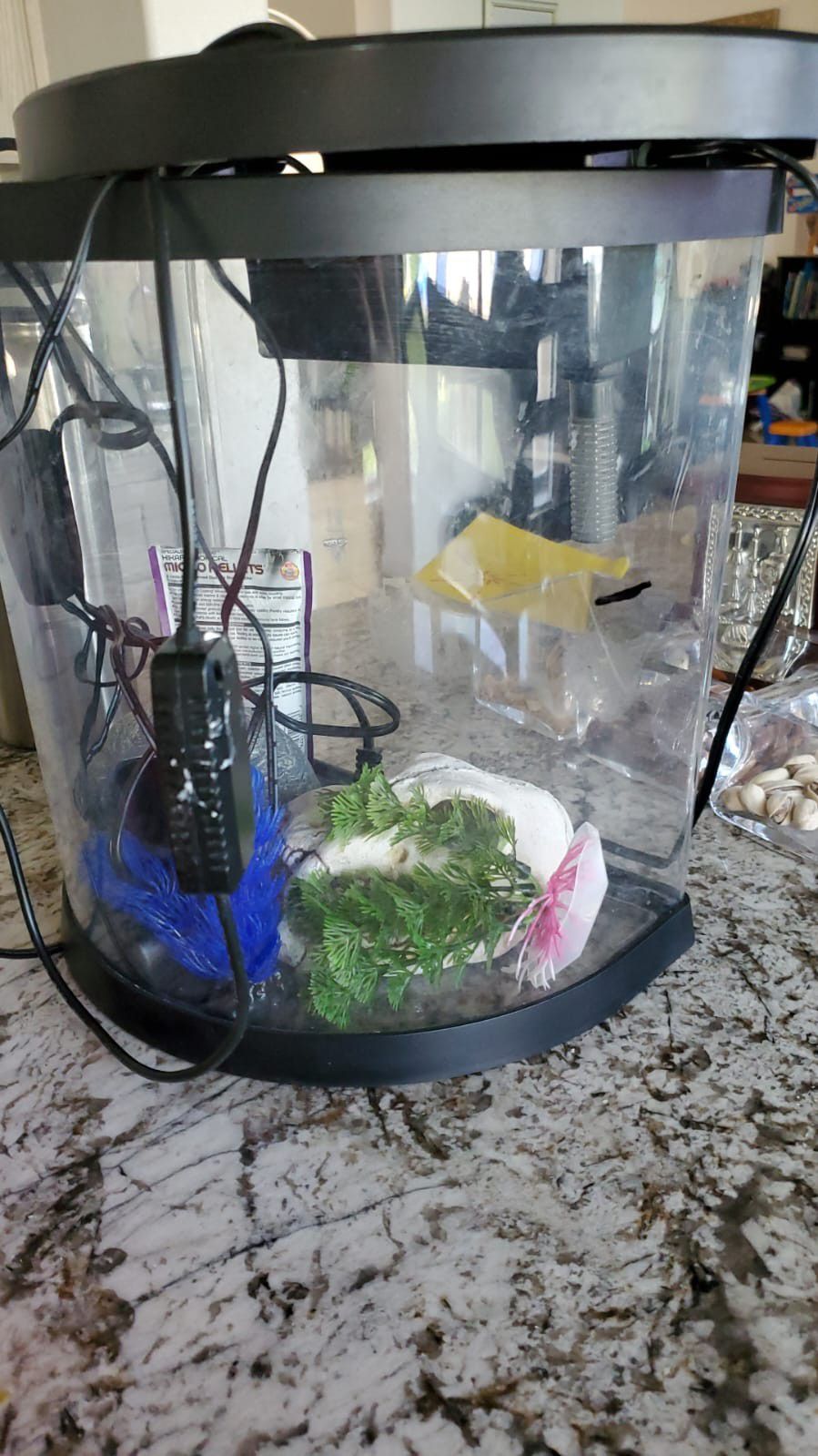 Fish Tank 🐠🐟