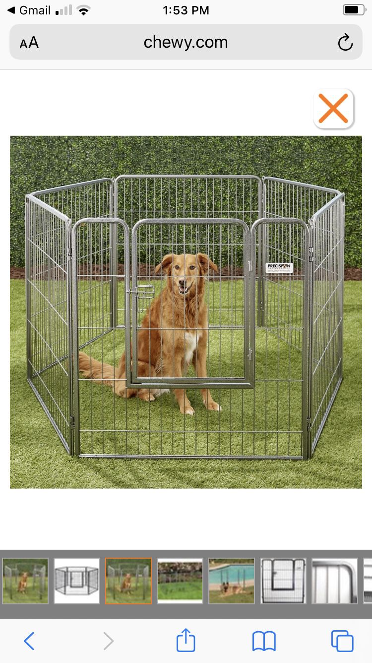 Dog Fence 