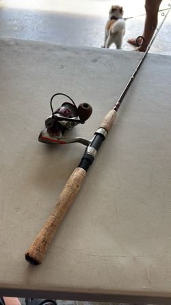Pflueger spinning combo
