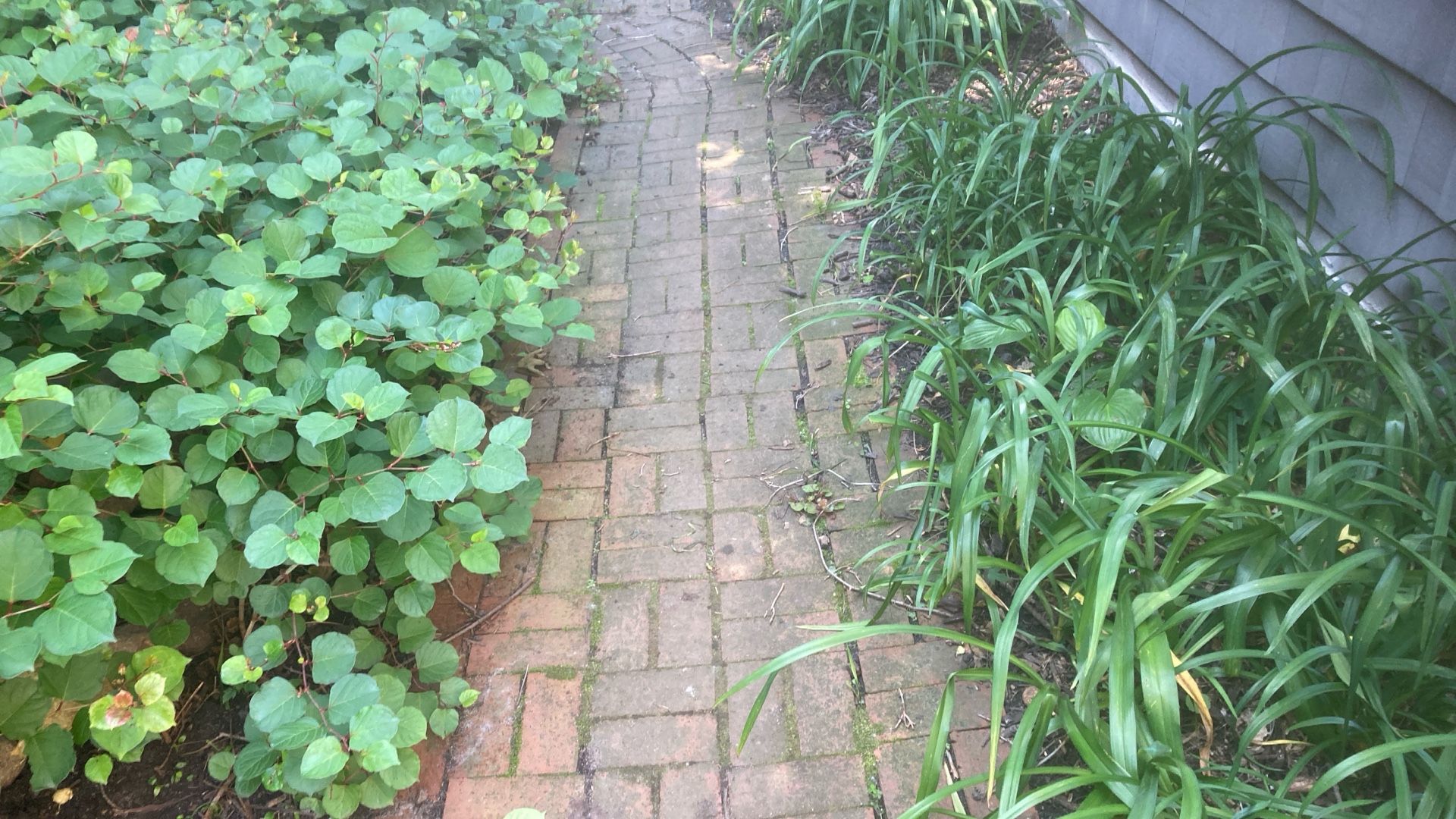 Pavers