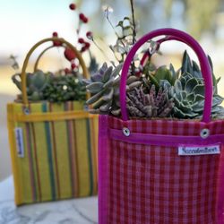 Gift Ideas 