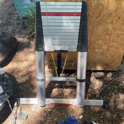 12ft Telescoping/Collapsible Ladder