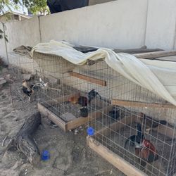En Venta Jaulas
