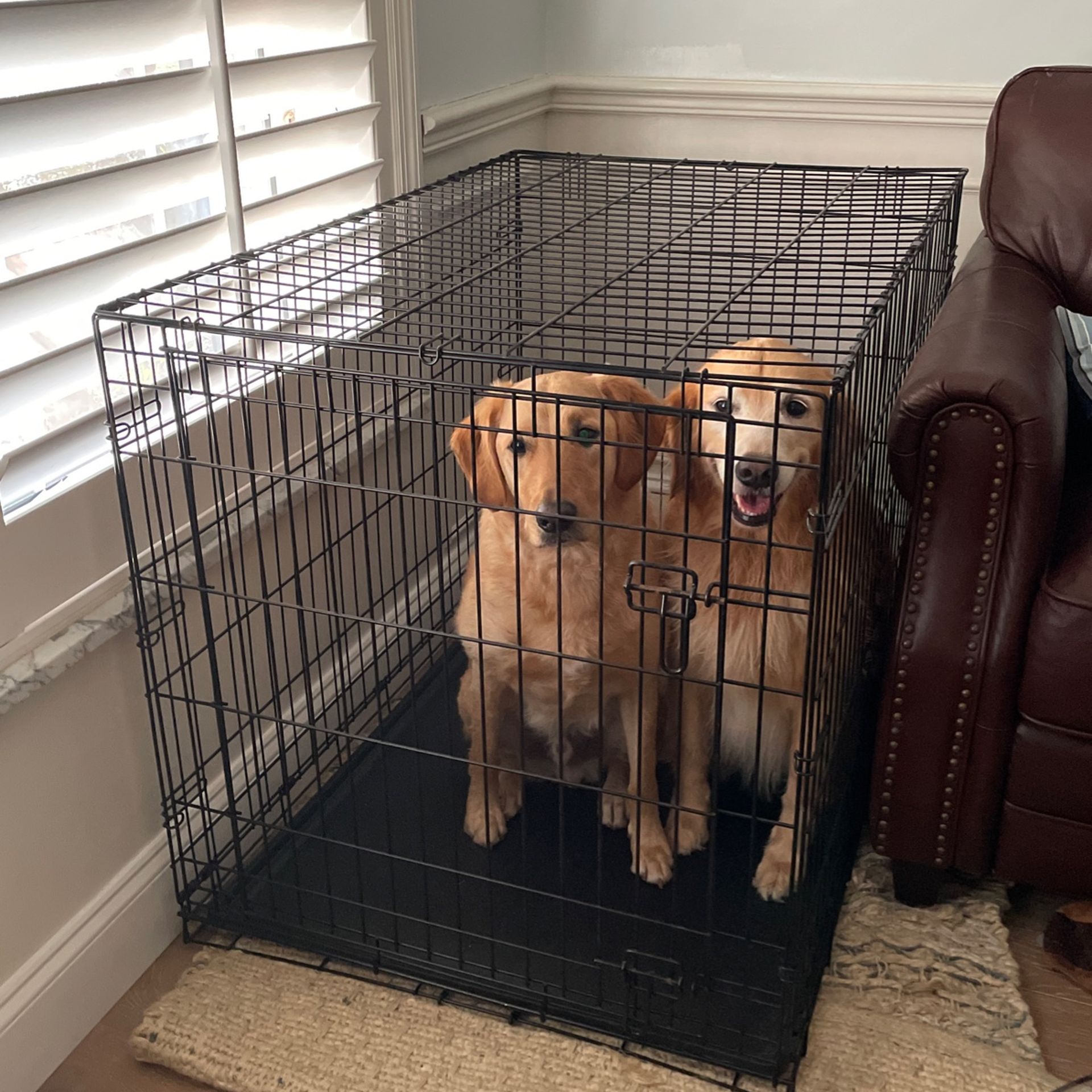 XL Dog Crate/kennel