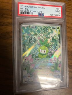 Pokémon Card