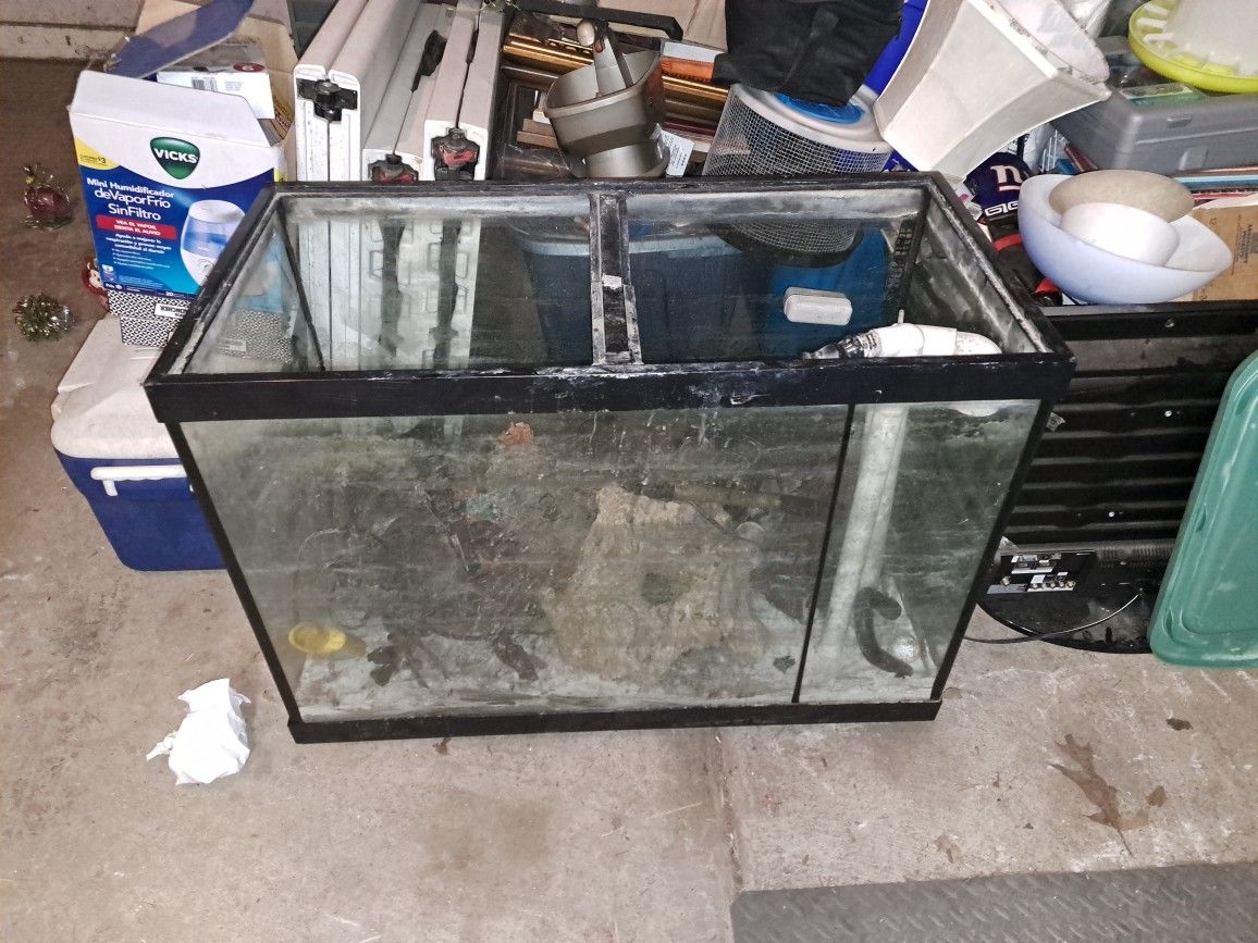40 Gallon Fish Tank