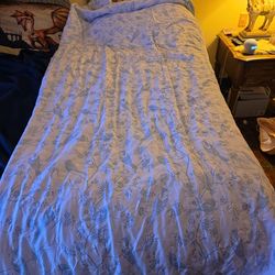 Beautiful king comforter with 2 pillow shams