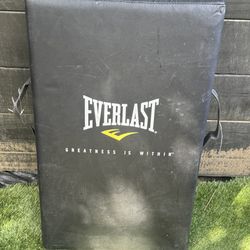 EVERLAST PAD (25x14.5x5.5)