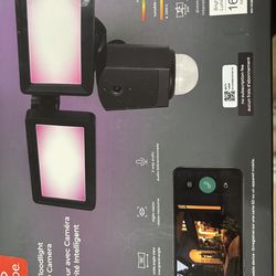 Globe Security camera