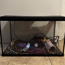 Fish Tank 