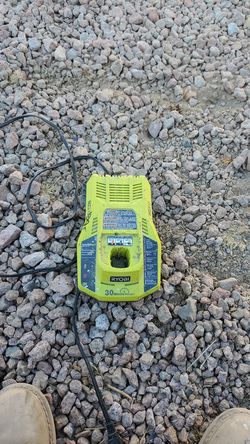 Ryobi Rapid charger.