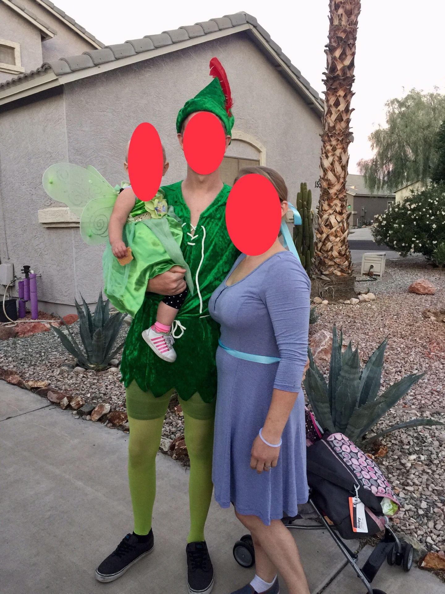 Peter Pan TinkerBell Halloween Costume
