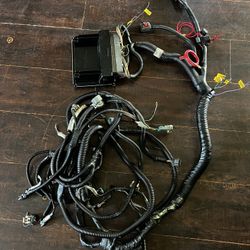 Stand alone Harness