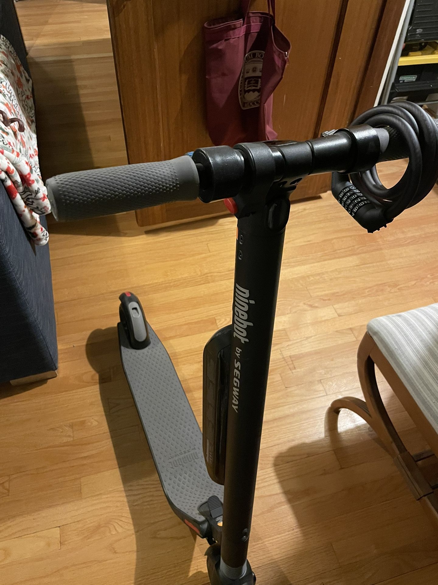 Segway Ninebot ES1 Electric Scooter