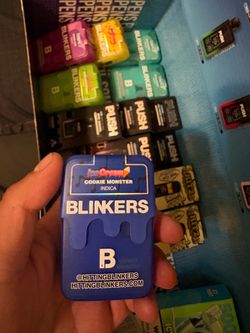 BLINKERS