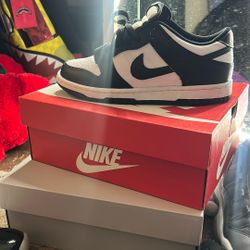 Nike Dunks Lows