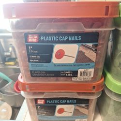 Plastic Cap Nails 