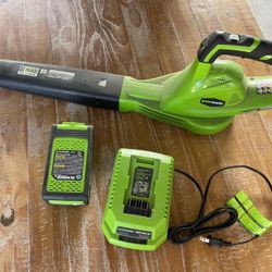 Green works Leaf 🍂 Blower / Works Great
