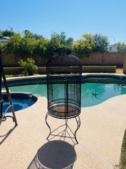 Bird  cage