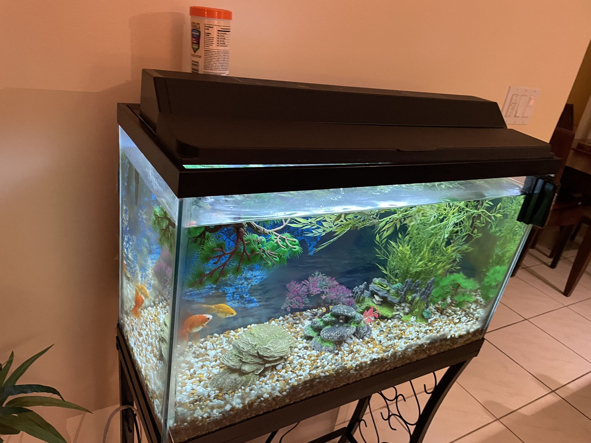 Fish Tank With Metal Stand, 20 Gallon