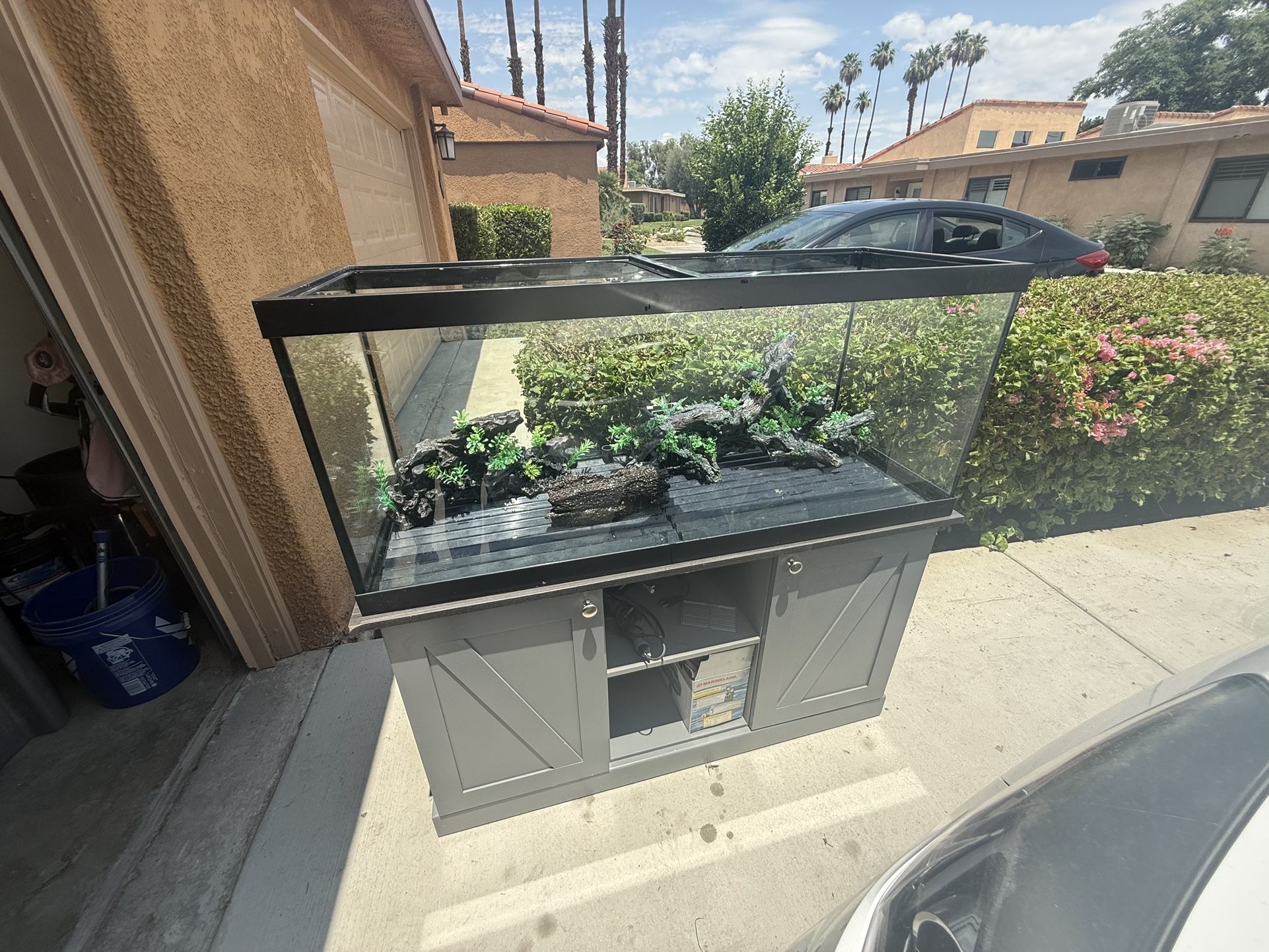FREE Fish Tank And Stand