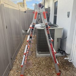 Little Giant Ladder 
