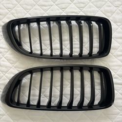 BMW Kidney Grilles F32