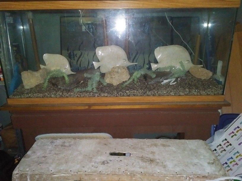 Large 60 GAL  Fish Tank With Stand. ***OBO***