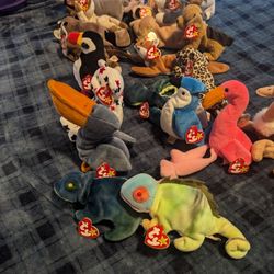 Beanie Babies