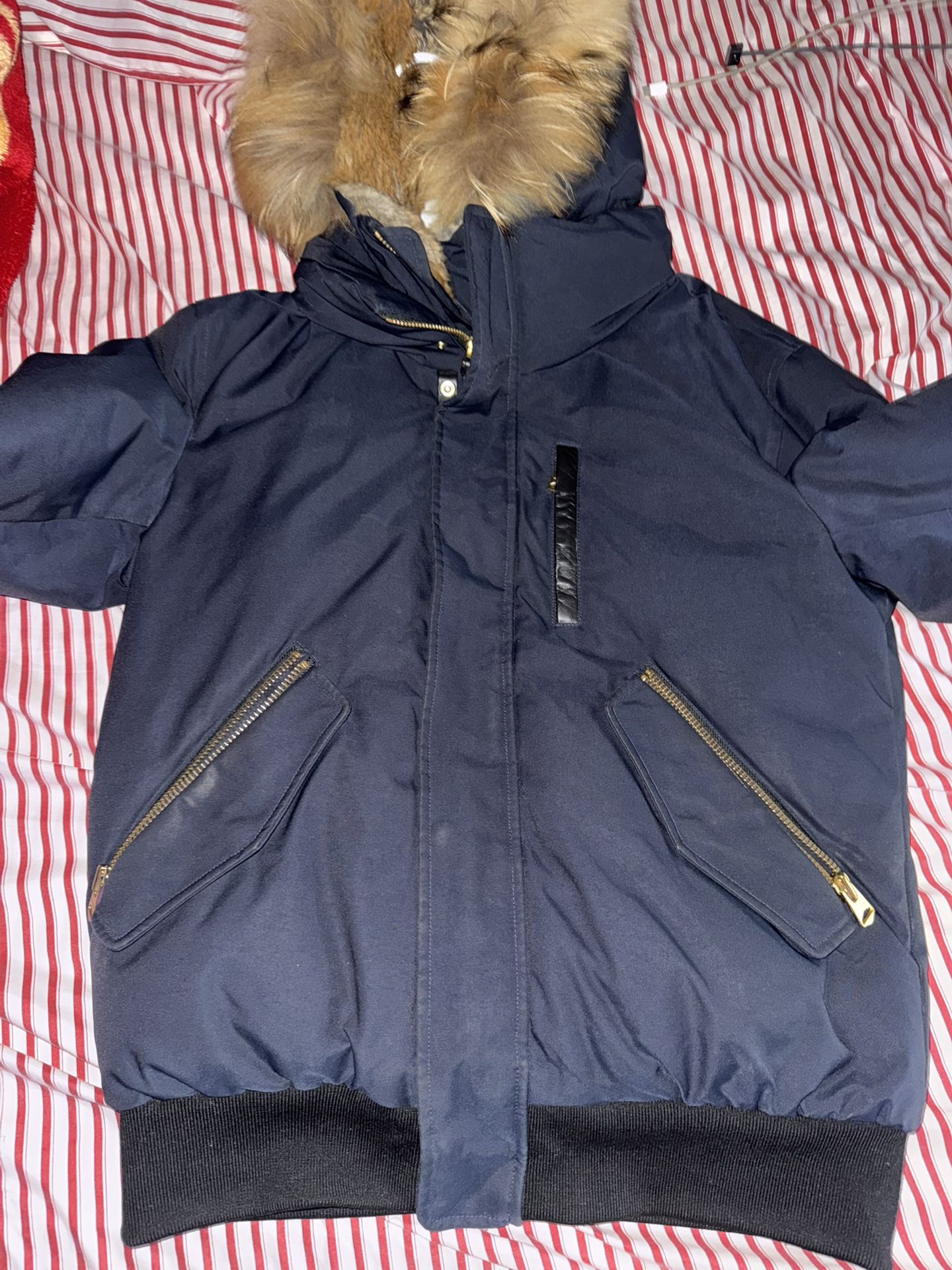 Mackage Dixon Bomber