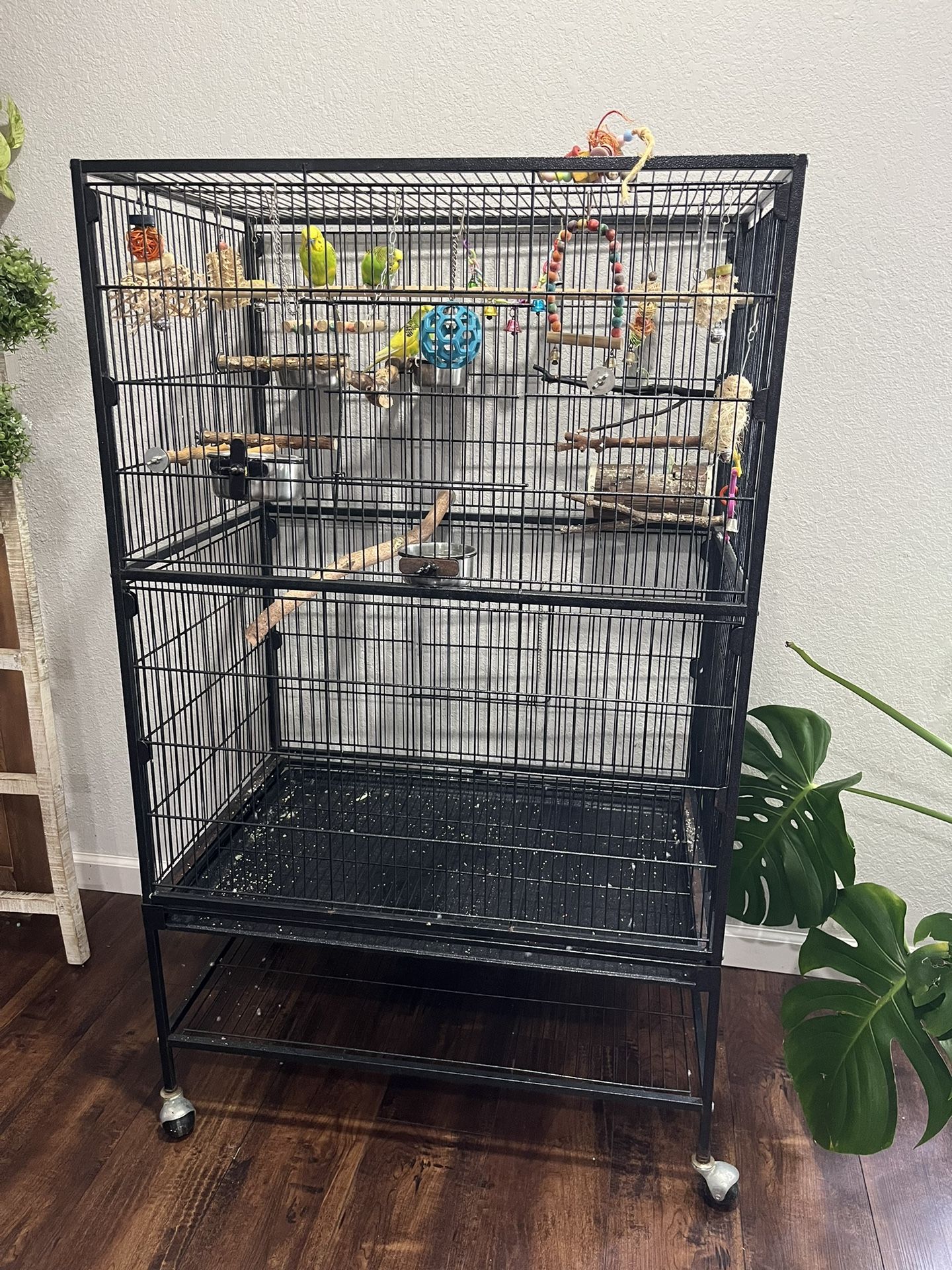 Bird Cage