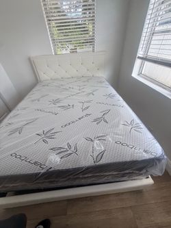 Queen bed frame with mattress all new furniture free delivery free installation