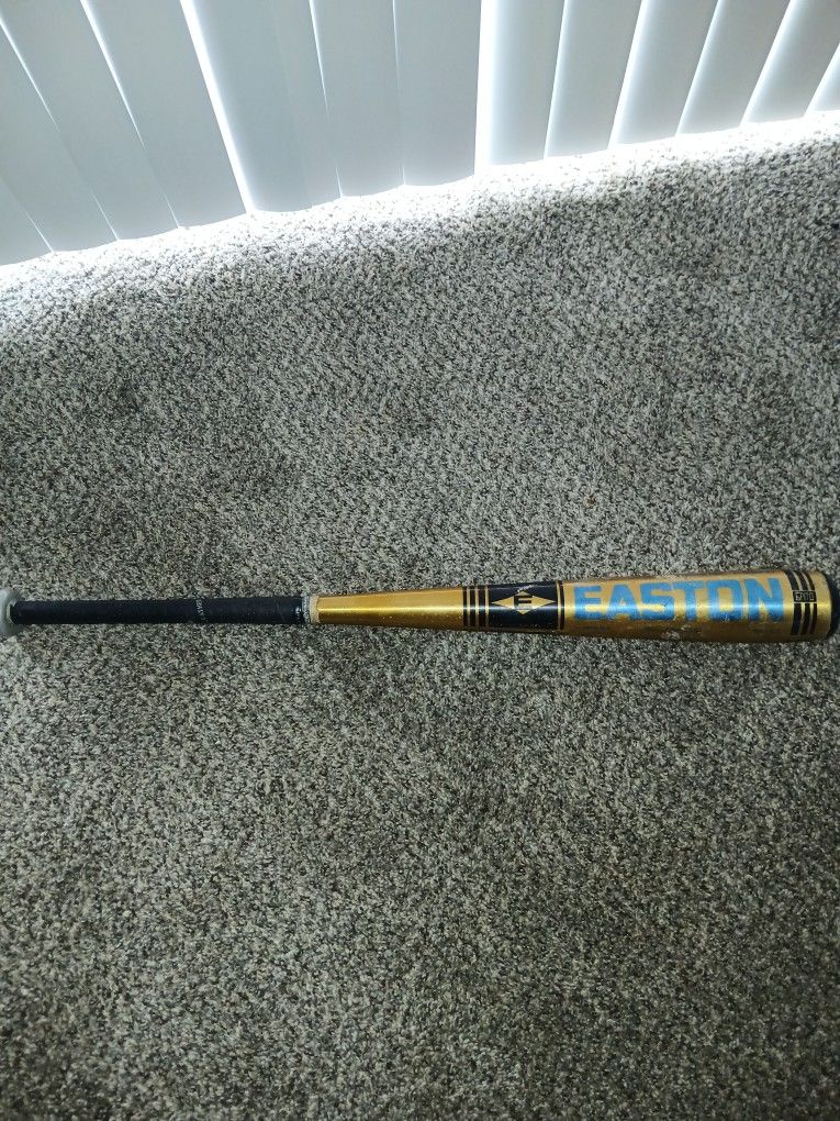 Easton Baseball Bat 32 In