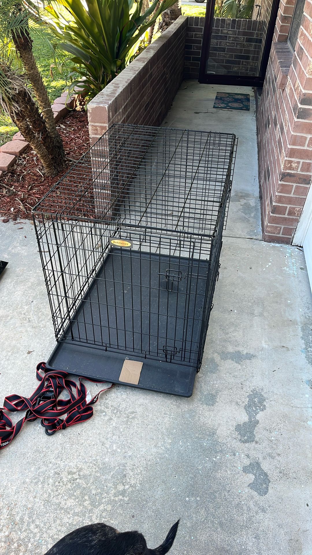 large dog kennel 