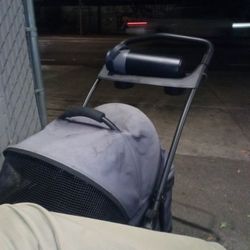 Dog Stroller