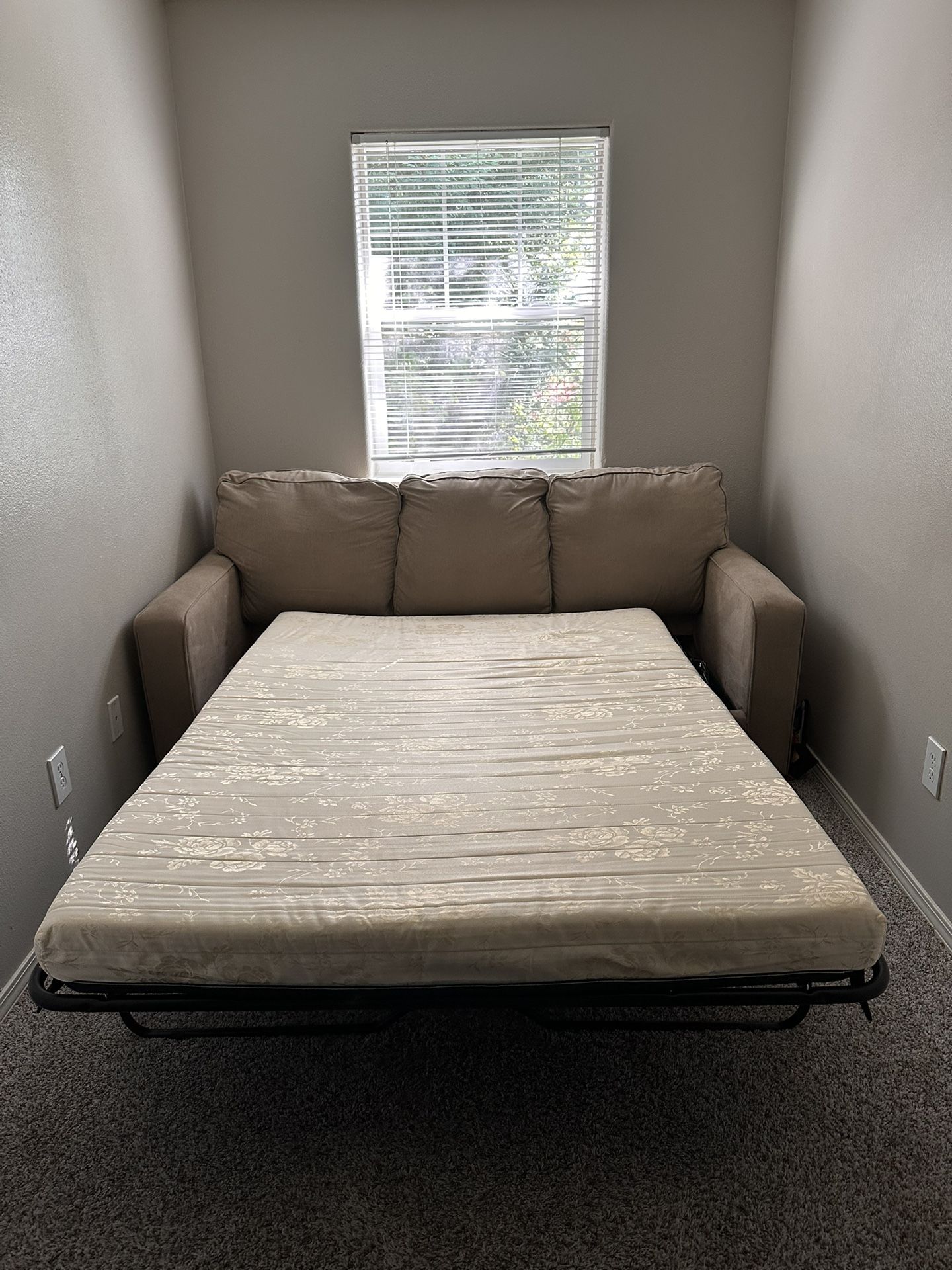 Free Pull Out Sofa Couch