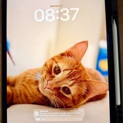 Like new IPad Air M3 13” 256GB + Apple Pencil Pro