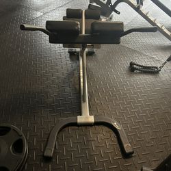 Back Extensions