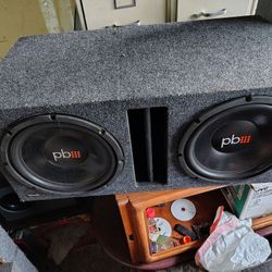 2 12" Powerbeats Subwoofers