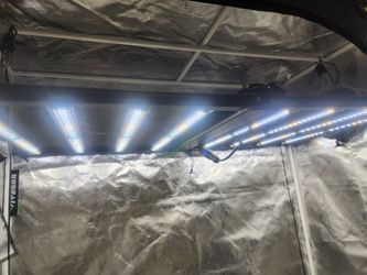 2x4 ROI E200 LED grow light