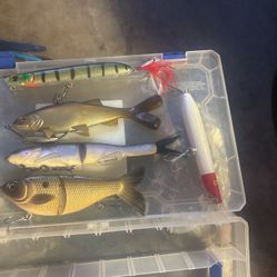 Striper And Bass Swim bait 