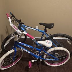 $60 for both Bikes