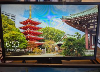 LG 24" Full HD Monitor (24BK430H-B) – Works Great